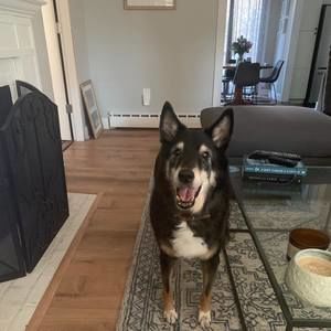 Meet your Posher, Suzanne